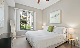 Plano Upscale 2Bd 2BA Apartment