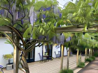 Wisteria Österlen Hotels in Brantevik