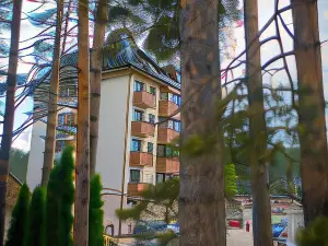 Vila Maša Zlatibor