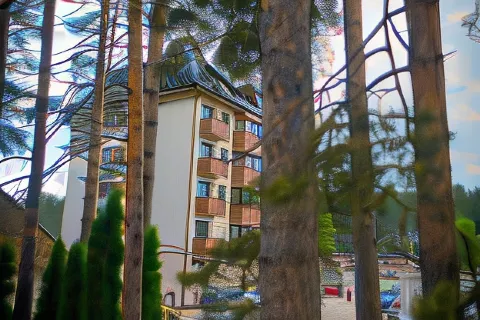 Vila Maša Zlatibor