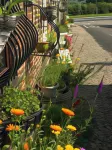 OYO Yarm Cottages Отели рядом с достопримечательностью «Сикхски храм на Стоктън-он-Тийс»