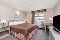 London Travel Inn Near Conference Centre ON - acceptant les animaux