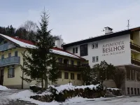 貝斯霍夫阿爾卑斯山飯店 拉姆紹住宿飯店