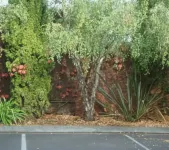 Grosvenor Court Apartments Hotels in Sandy Bay