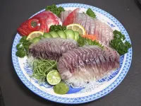 민슈쿠 마사고 고치시 호텔