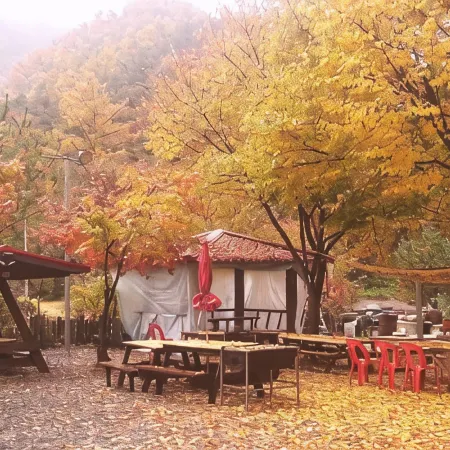 Wolaksan Blooming Village Pension Отели рядом с достопримечательностью «Храм Токчуса»