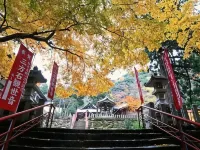 Matsuoka Hotels in Wakasa