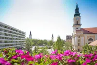 Aranyhomok Hotel Business & Relax Hotels in 