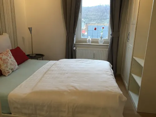 holiday apartment with view of the mountains of the Harz, pets are welcome - homestay