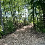 Cozy 2-bedroom cabin in the beautiful Northwoods on Lac Courte Orielles Lake!