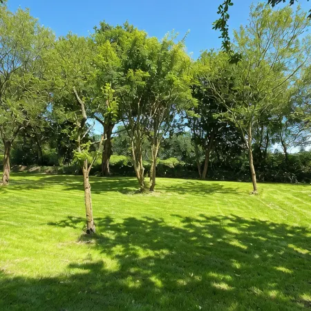 Family home in Trébeurden close to beaches and hiking trails.