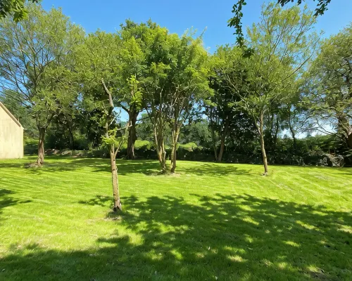 Family home in Trébeurden close to beaches and hiking trails. Hotels in Trebeurden