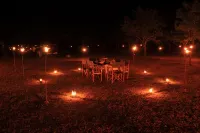 Big Game - Udawalawe by Eco Team
