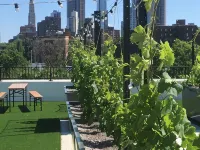 EVEN Hotel BROOKLYN by IHG Hotels near Junior's Cheesecake
