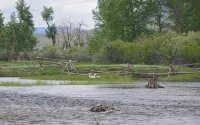 BIG HOLE RIVER RETREAT November-April SPECIAL!