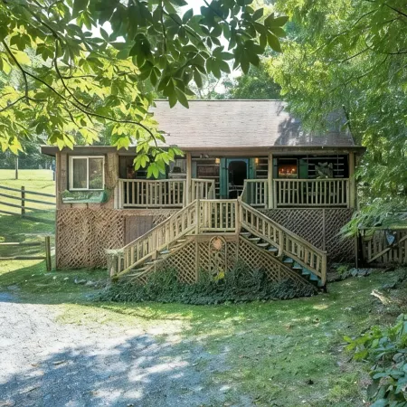 Roan Mountain Charming Cabin Hot Tub Close to Hiking Dogs Welcome