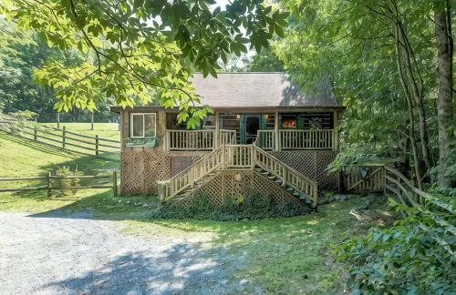 Roan Mountain Charming Cabin Hot Tub Close to Hiking Dogs Welcome