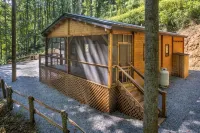 Charming Moose Lodge 2-bedroom cabin with WIFI,& Game room in Bryson City