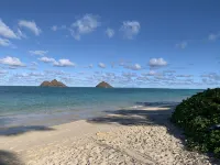 Bright, upgraded house, A/C, near the ocean! CONTACT FOR RATES & AVAILABILITY! - Kitchens