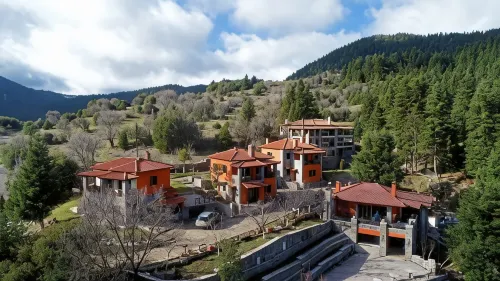 Chalet Elati - bar