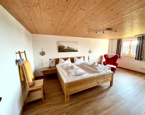 Apartment Apfel-Stadl "Jonagold", Oberreute - 公寓