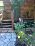Peaceful Log Cabin Near the Buffalo National River - Hytter