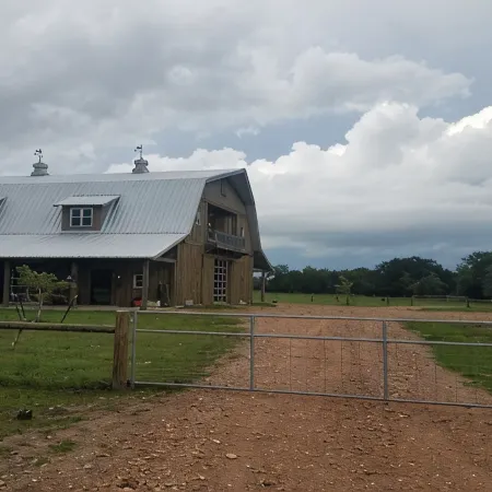 Classy Cattle Farm Experience-Wine and Bovine