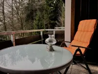 Our FeWo Luchsbutze - right on the forest, with balcony, garage u. WIFI - 3 stjerner