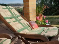 Realx and Adventure in Vogelsberg Hotels in Schotten
