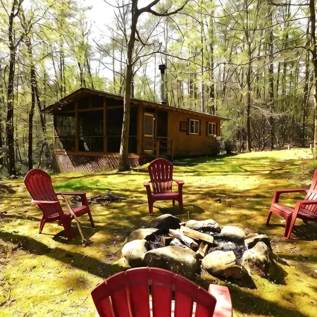 Quiet cabin in the woods, only 10 min from downtown Helen