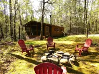 Quiet cabin in the woods, only 10 min from downtown Helen