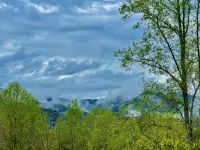 Log home nestled in the Smoky Mountains. - Alppimaja