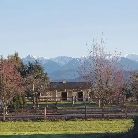 Olympic Mountain View Retreat on Serene Acreage!
