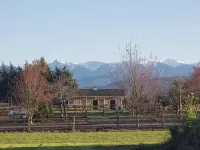 Olympic Mountain View Retreat on Serene Acreage! - Apartments