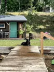 Cozy, remodeled 1940’s lake cottage on Long Lake in Ionia County - Wifi