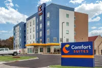 Comfort Suites Cottage Grove-Madison - 2-stjärniga