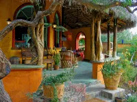El Encanto - Artful Luxury in a Rustic Setting by the Sea -  Casas de vacaciones