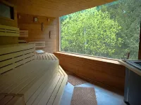Hotel Saigerhöh Wellness Spa Golf Wandern über Dem Titisee - 스파