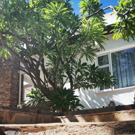 Guesthouse Terra Africa