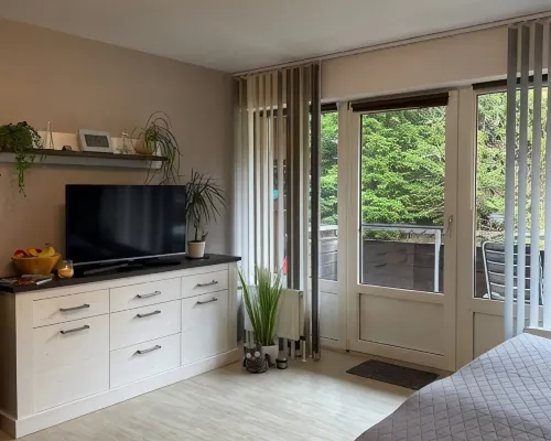 Moderne, Zentrale Wohnung mit Viel Komfort Hotels in Oberharz