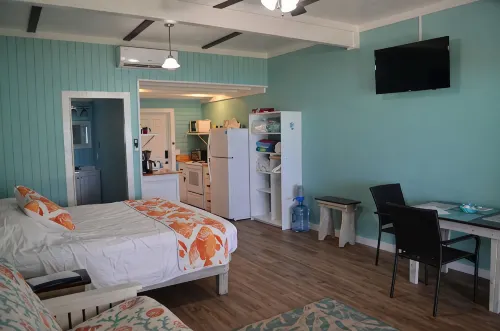 Beachfront large one bedroom studio, adjoining studio can be added to make 2/2. - Wi-Fi