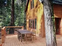 Classic Family Tahoe Cabin - West Shore Bliss! Hotels in Homewood