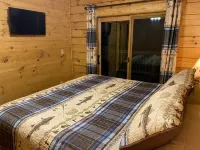 New 2/2 log cabin, rushing trout stream, hot tub, fireplace, 4 acres - Alppimaja
