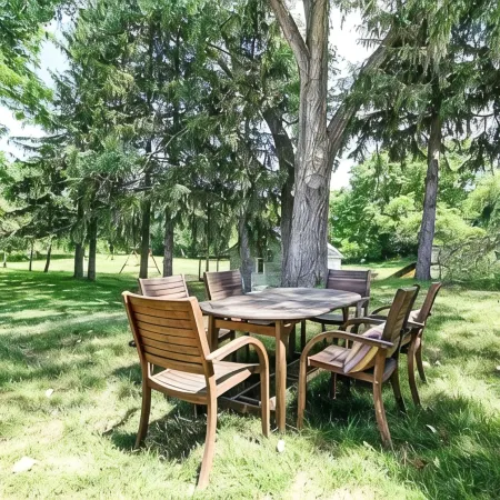 Look out at the treetops at the cozy Paoli Nest. Near Epic Systems and Madison.