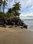 Gorgeous Oceanfront Condo Steps From The Beach, Air Conditioned, Free Wi-Fi - Beach