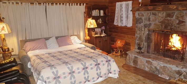 Comfy, charming cabin on the Salmon River a few miles from Gold Bug Hot Springs Hotels in Lemhi County