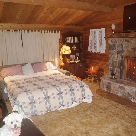 Comfy, charming cabin on the Salmon River a few miles from Gold Bug Hot Springs