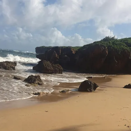 Kaha Lani #216, 2Bdrm, 2Bath, Kitchen, Beachfront Resort!  Ocean Views. Quiet!