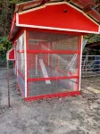 FARM ANIMALS: RESCUES, Mini HORSES and mini DONKEYs; - Farmhouses