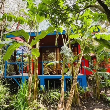 El Sol Monteverde
